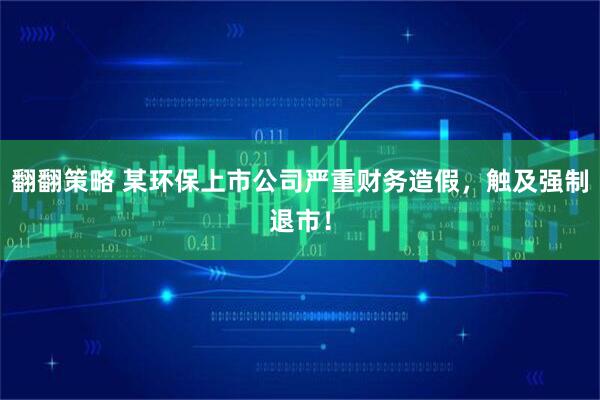 翻翻策略 某环保上市公司严重财务造假，触及强制退市！